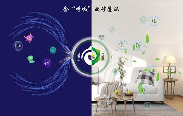 鄰居羨慕我家新房空氣清新，偷偷告訴你都是它的功勞