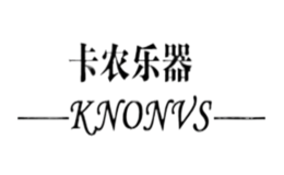泰興市卡農(nóng)樂器有限公司