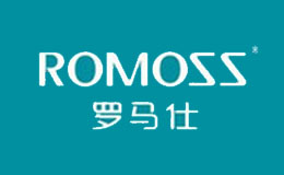 深圳羅馬仕科技有限公司