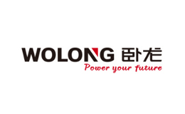 臥龍電氣集團(tuán)股份有限公司