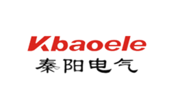 浙江秦陽電氣有限公司