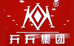上海開開實業(yè)股份有限公司