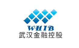 武漢金融控股(集團(tuán))有限公司